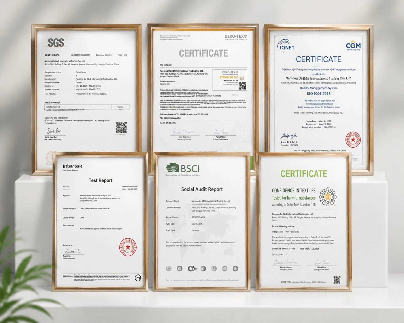 Our Certificate Our Certificate